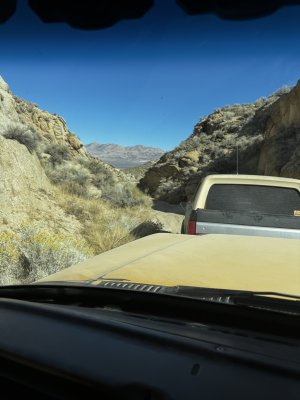 IMG_8143.jpeg IMG_8143.jpeg