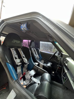 IMG_0119.jpeg IMG_0119.jpeg