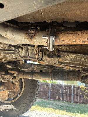 IMG_4866.jpeg IMG_4866.jpeg