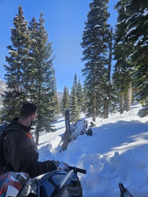 20250309_120351.jpg 20250309_120351.jpg