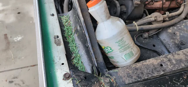 20251115_162350.webp 20251115_162350.webp