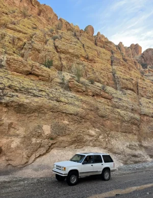 IMG_6500.webp IMG_6500.webp