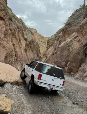 IMG_6501.webp IMG_6501.webp