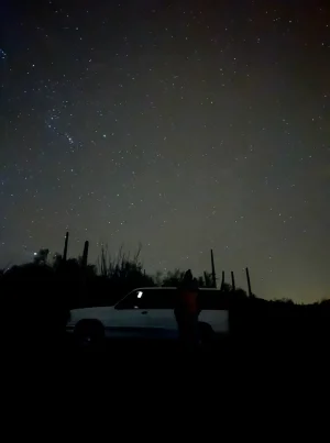 IMG_6502.webp IMG_6502.webp