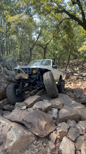 IMG_0772.jpeg IMG_0772.jpeg