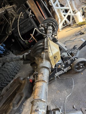 IMG_0245.jpeg IMG_0245.jpeg