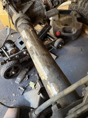 IMG_0247.jpeg IMG_0247.jpeg