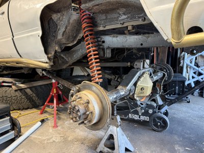 IMG_0319.jpeg IMG_0319.jpeg