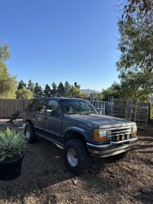 IMG_9389.jpeg IMG_9389.jpeg