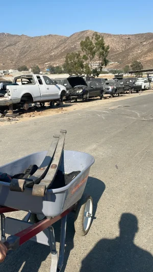 86.yoda_1720567863_highlight18270047545234055 (1).webp