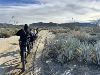 IMG_7889.webp IMG_7889.webp