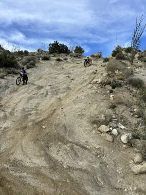 IMG_7895.webp IMG_7895.webp