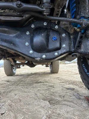 IMG_3013.webp IMG_3013.webp