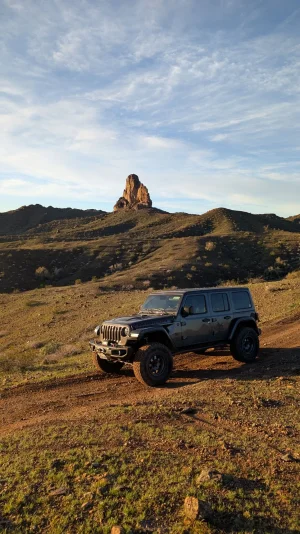 PXL_20251228_151759778.MP.webp PXL_20251228_151759778.MP.webp