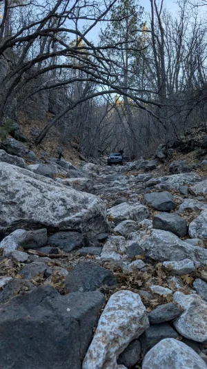 PXL_20251229_221006957.webp PXL_20251229_221006957.webp