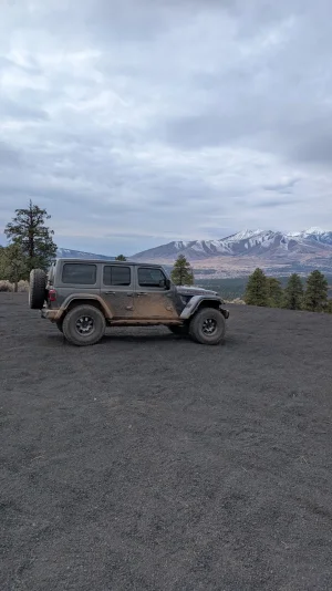 PXL_20251231_195511705.MP.webp PXL_20251231_195511705.MP.webp