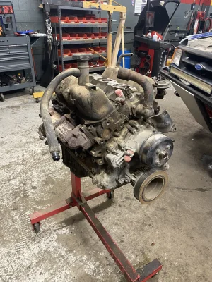 IMG_9253.webp IMG_9253.webp