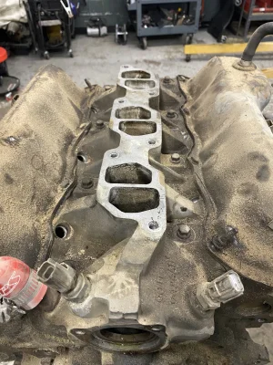 IMG_9255.webp IMG_9255.webp