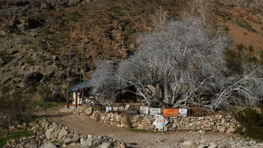 1769975711677.webp 1769975711677.webp