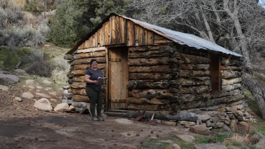 1769979731724.webp 1769979731724.webp