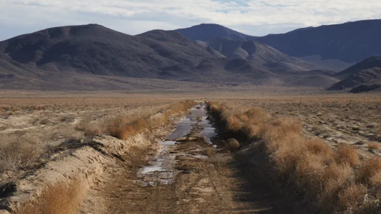 1769980751983.webp 1769980751983.webp