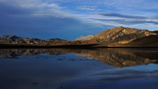 1769981078511.webp 1769981078511.webp