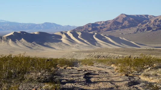 1769982481256.webp 1769982481256.webp