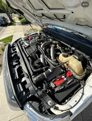 IMG_7584.webp IMG_7584.webp