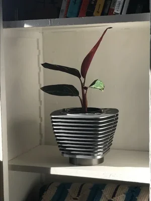 IMG_4513.webp IMG_4513.webp