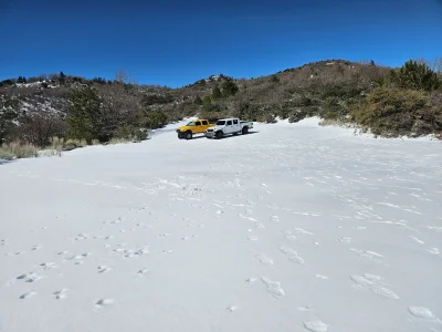 20260221_113608.webp 20260221_113608.webp