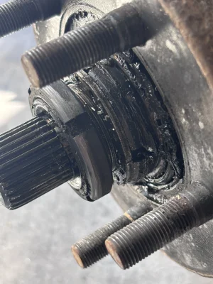 IMG_3887.webp IMG_3887.webp