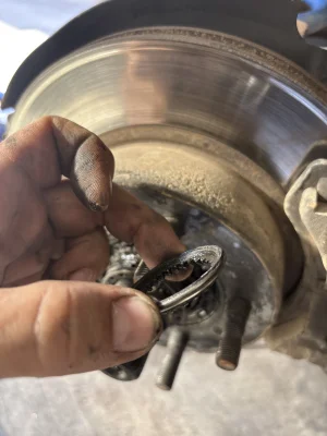 IMG_3888.webp IMG_3888.webp