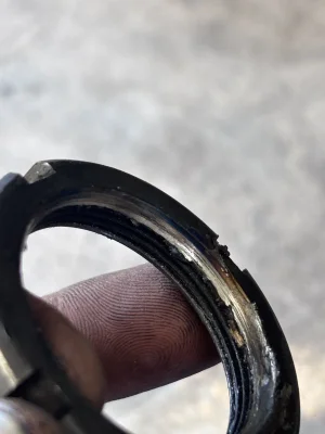 IMG_3892.webp IMG_3892.webp