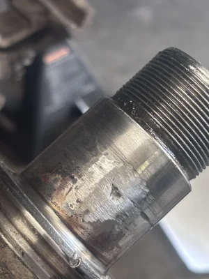 IMG_3901.webp IMG_3901.webp