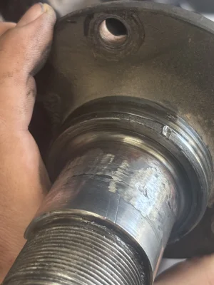 IMG_3902.webp IMG_3902.webp