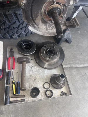 IMG_3904.webp IMG_3904.webp