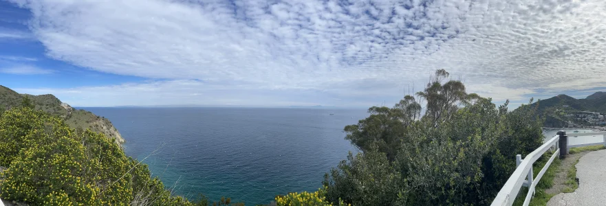 IMG_3662.webp IMG_3662.webp