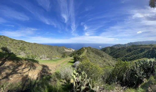 IMG_3669.webp IMG_3669.webp