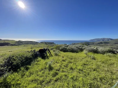 IMG_3696.webp IMG_3696.webp