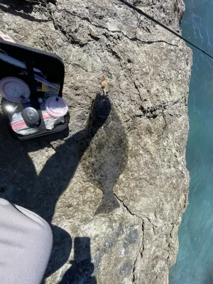 IMG_3711.webp IMG_3711.webp