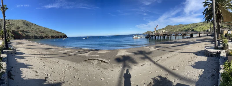 IMG_3725.webp IMG_3725.webp