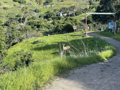 IMG_3727.webp IMG_3727.webp