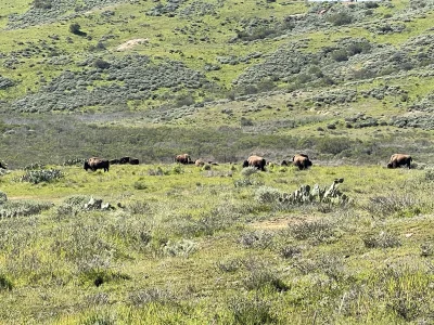 IMG_3737.webp IMG_3737.webp