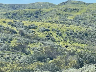 IMG_3738.webp IMG_3738.webp