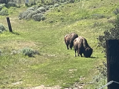 IMG_3735.webp IMG_3735.webp