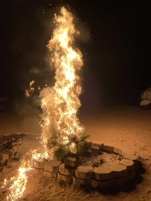 D2C5FA13-3C3F-4BB5-BE52-12DCC642883B.webp D2C5FA13-3C3F-4BB5-BE52-12DCC642883B.webp