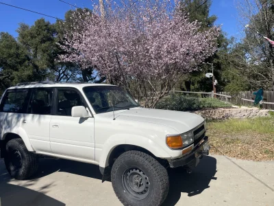 IMG_9331.webp IMG_9331.webp