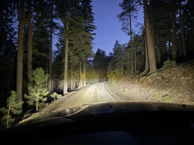 IMG_7550.webp IMG_7550.webp