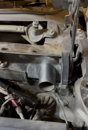 IMG_4048.webp IMG_4048.webp