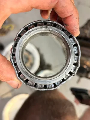 1776100259993.webp 1776100259993.webp